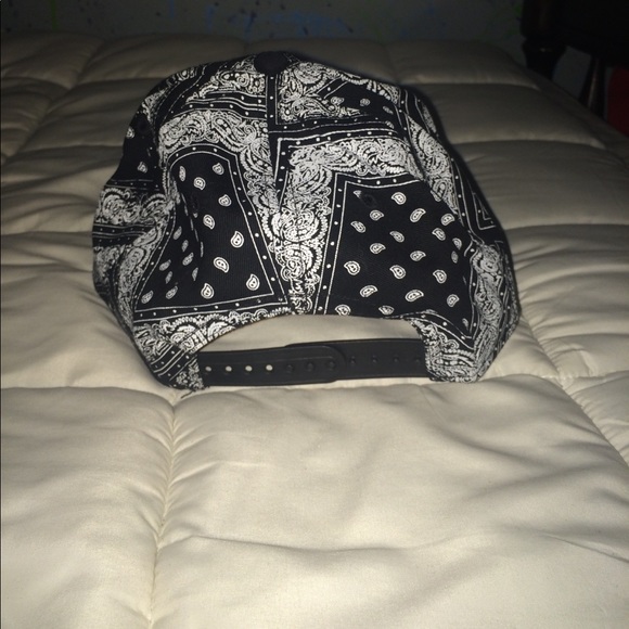 SnapBack - Picture 2 of 3