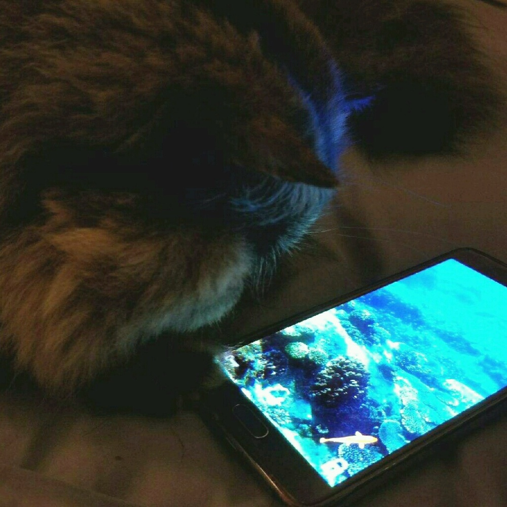 Meet your Posher, RA