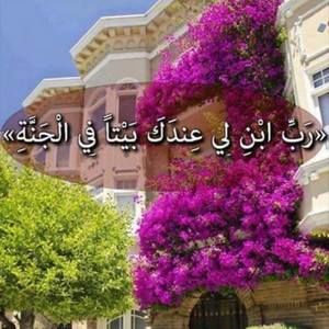 Meet your Posher, Hani