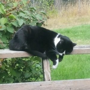 Meet your Posher, Cheri