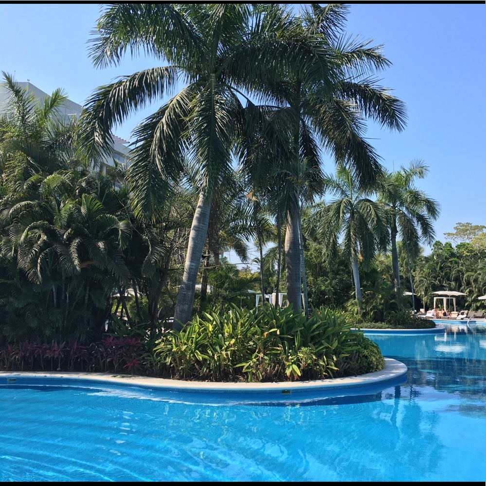 Meet your Posher, Cody