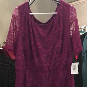 NWT 3x love squared pink lace dress