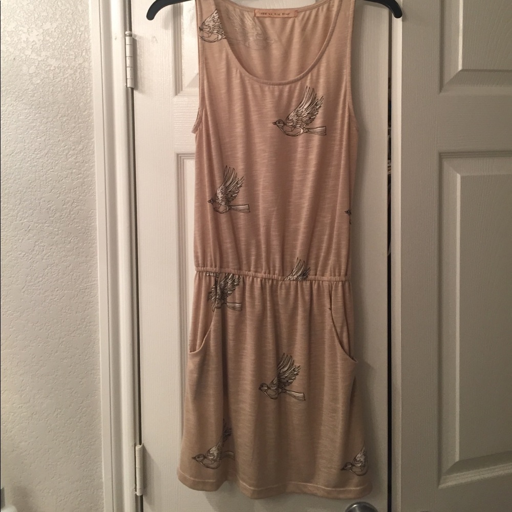 Tee by Big Star mini tank dress. Never been worn