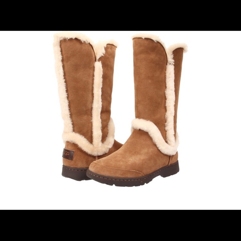 Ugg Suede Mid-Calf Boot