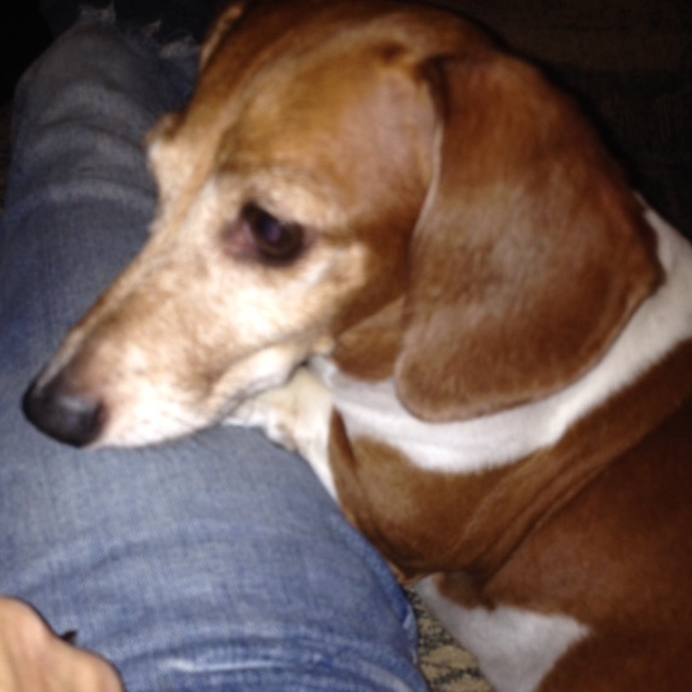 Meet your Posher, Vernell