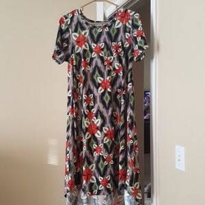 Lularoe carly