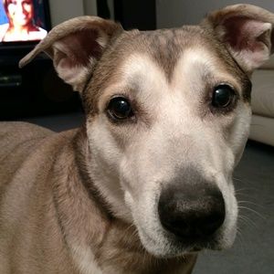 Meet your Posher, Rosemary