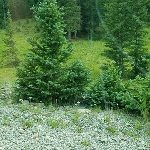 Meet your Posher, Miriam