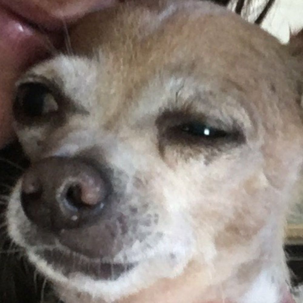 Meet your Posher, Rebecca