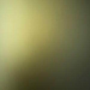 Meet your Posher, Lorena