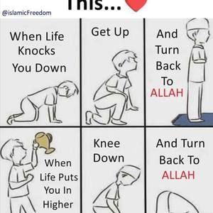 Meet your Posher, Fasi