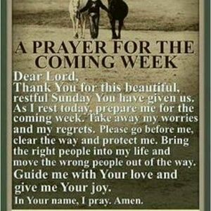 Meet your Posher, Michelle