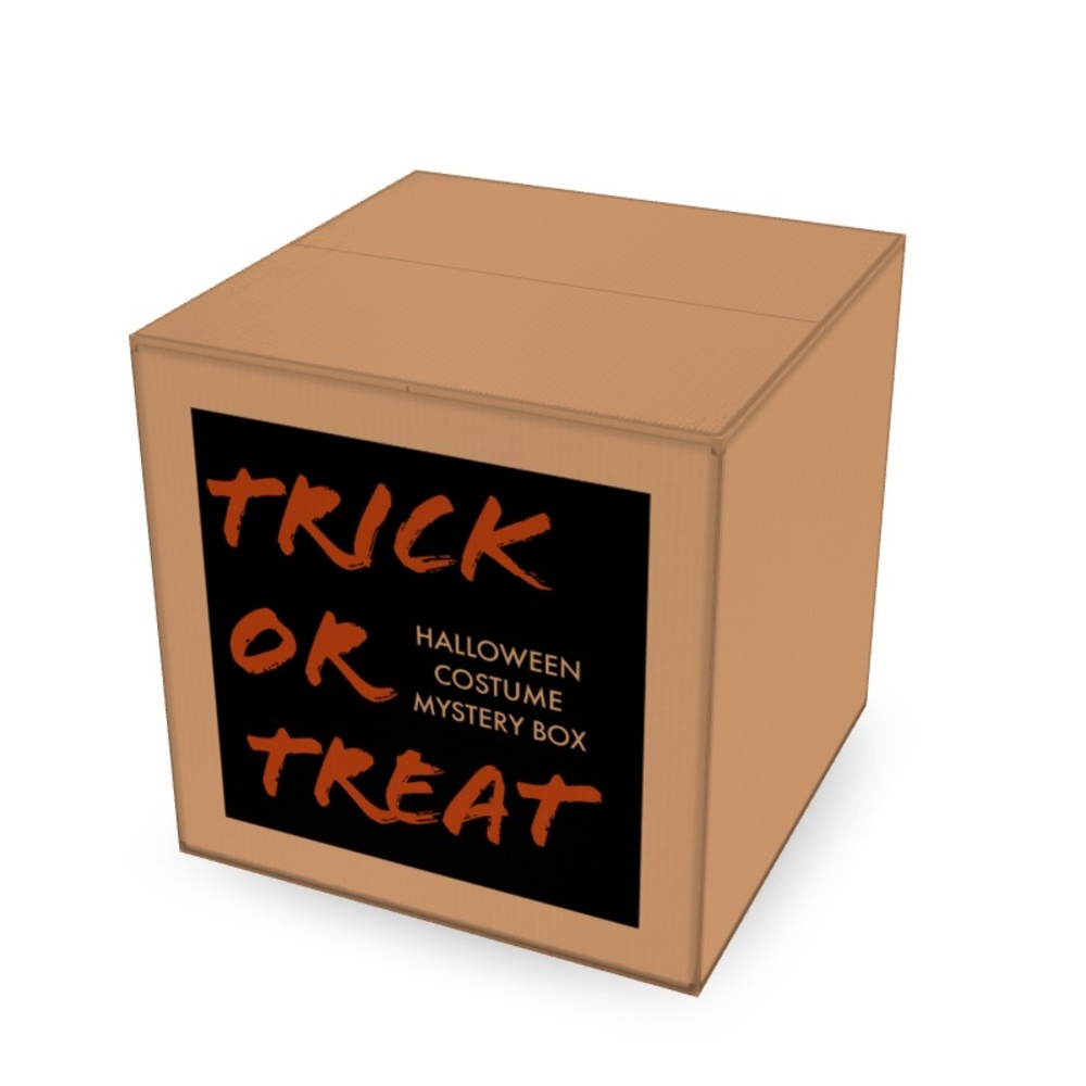 Halloween Costume Mystery Box