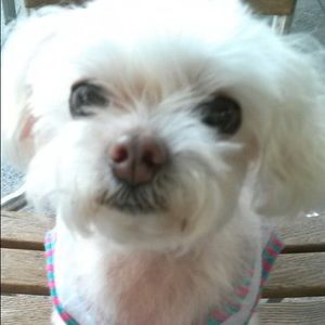 Meet your Posher, Mi