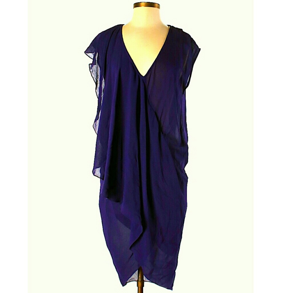 FINAL PRICE: BCBGMAXAZRIA RUNWAY: Dress