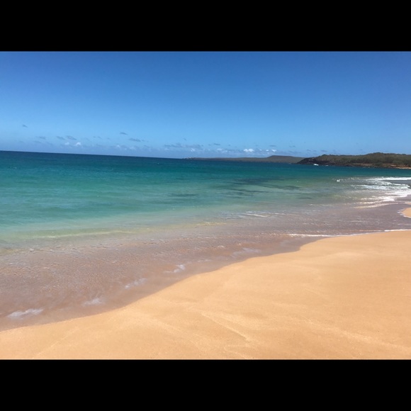 Meet your Posher, Jay - Picture 2 of 8