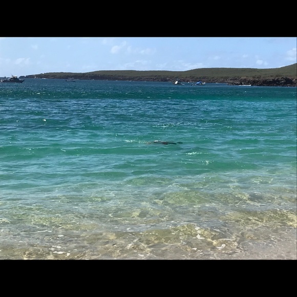 Meet your Posher, Jay - Picture 4 of 8