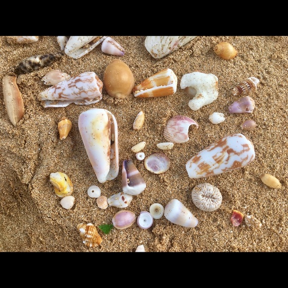 Meet your Posher, Jay - Picture 8 of 8