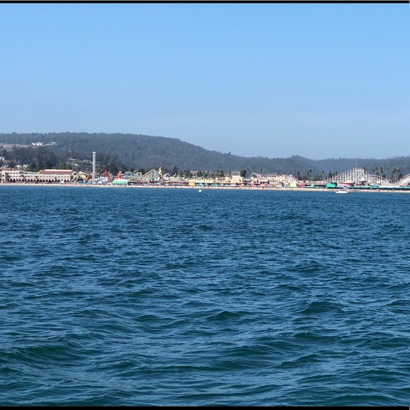 Meet your Posher, Chloee - Picture 1 of 1