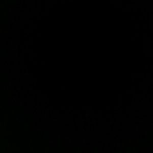 Meet your Posher, Riley