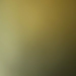 Meet your Posher, Jesse