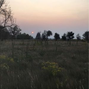 Meet your Posher, Dylan