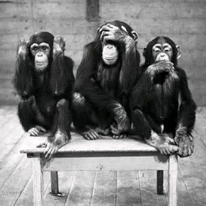 Meet your Posher, Vaneesha