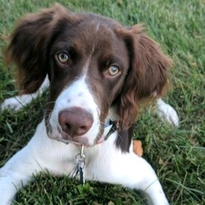 Meet your Posher, Jack