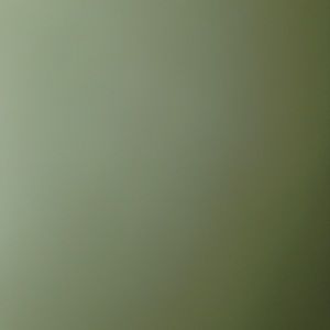 Meet your Posher, Collin