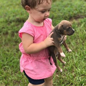 Meet your Posher, Robert n autumn