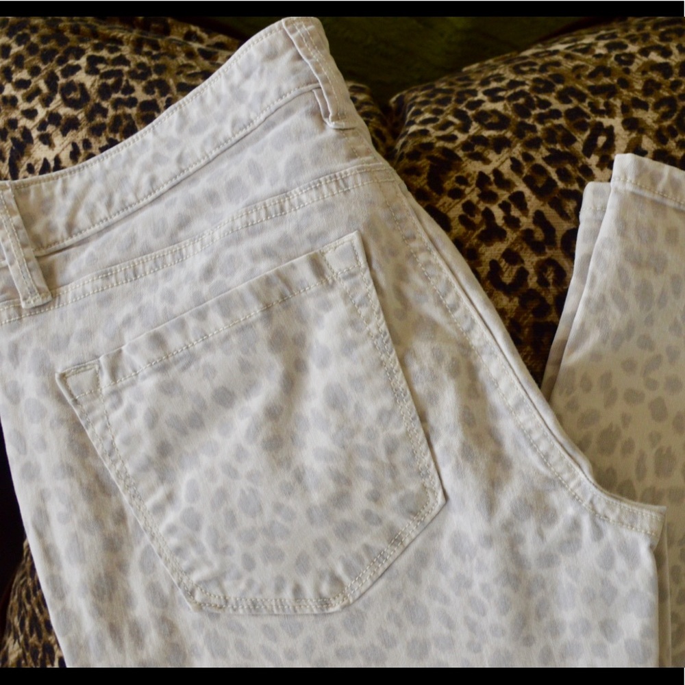 Printed Pants that Pop