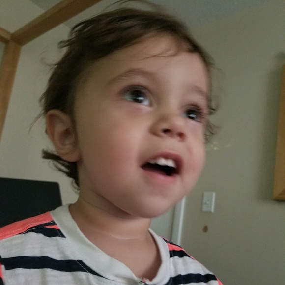 Meet your Posher, Holly - Picture 1 of 1