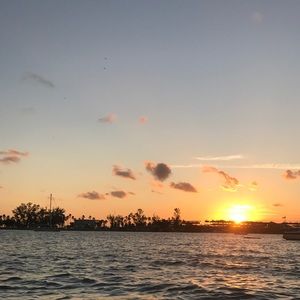 Meet your Posher, Alba