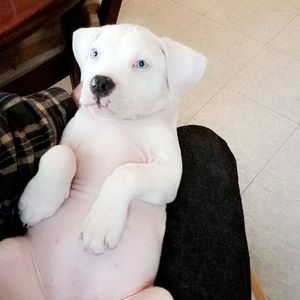 Meet your Posher, Ricky