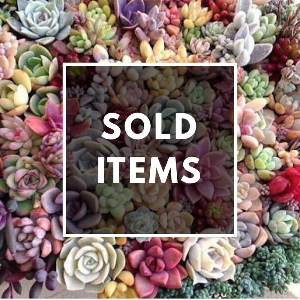 Sold items after this post 🌿