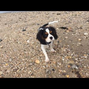 Meet your Posher, Andrew