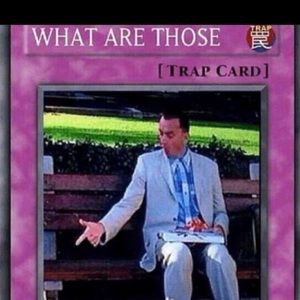 Meet your Posher, Curtis