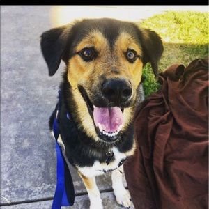 Meet your Posher, Joe