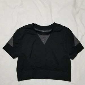 Ivy Park Crop Top