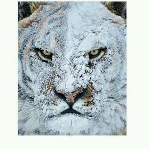 Meet your Posher, Madelyn