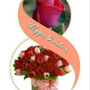 Meet your Posher, Cindi