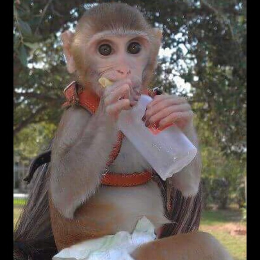 Meet your Posher, Melissa