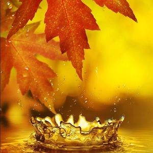 Closet close out sale! Please make offer!