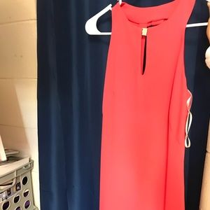 Brand new Bella rose dress