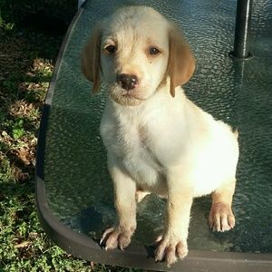 Meet your Posher, Dayna