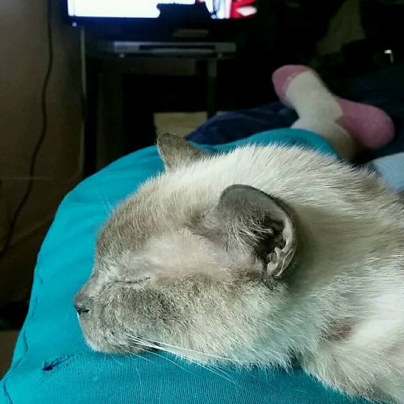 Meet your Posher, Judith - Picture 1 of 1