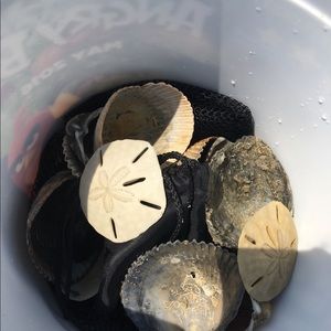 Meet your Posher, Catherine