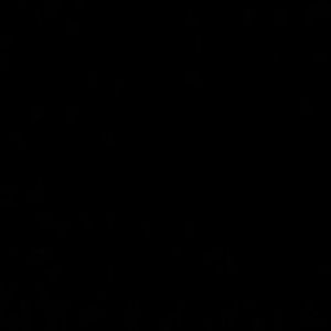 Meet your Posher, Ariana