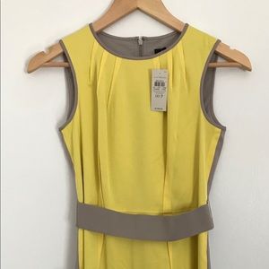 Ann Taylor, 2-Tone, Belted Dress