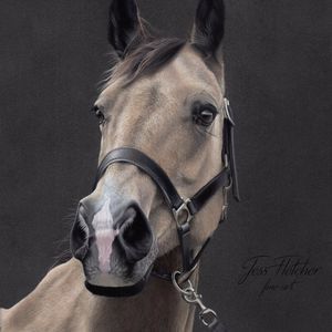 Meet your Posher, Barbara